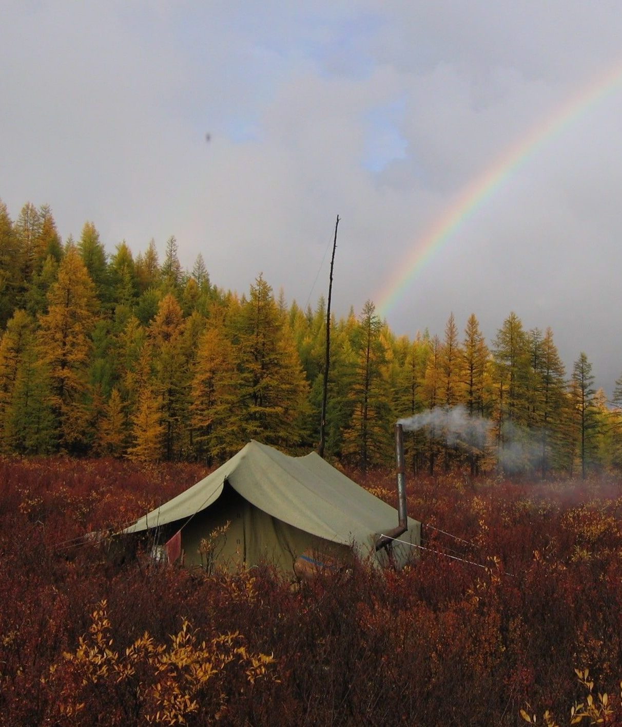 Специализированные палатки 